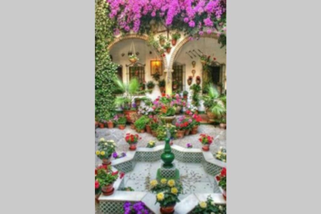 Corredera House. Pleno Centro De Cordoba Apartment ภายนอก รูปภาพ