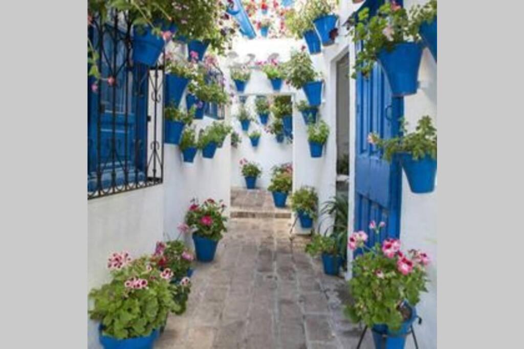 Corredera House. Pleno Centro De Cordoba Apartment ภายนอก รูปภาพ